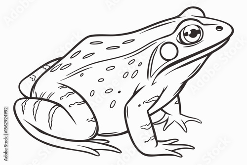 Hand-Drawn Frog Outline Illustration
