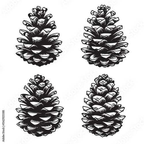 Four detailed black and white pine cone ornament set perfect for decorative designs