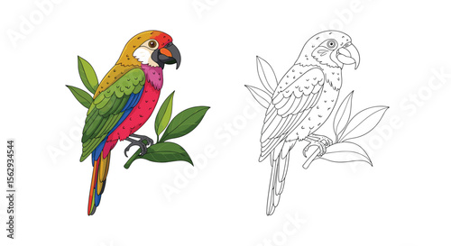 A vibrant parrot and its dot by dot representation