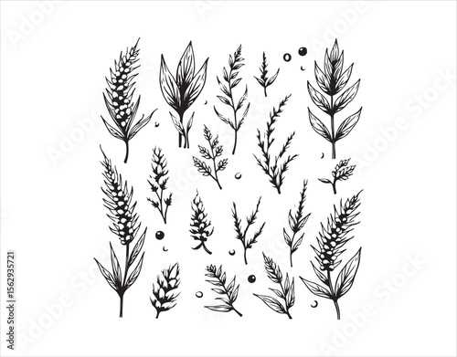 A collection of hand-drawn organic cereal and grain seeds illustrated in a doodle art style against a white background.

