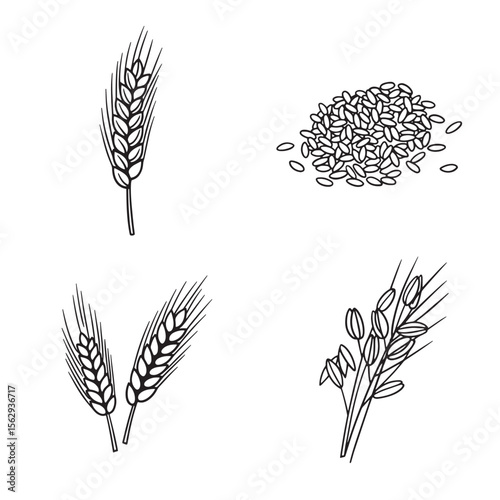 Detailed black and white illustrations of wheat and cereal grain elements in a set