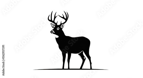 Whitetail Deer Outline Dark Background