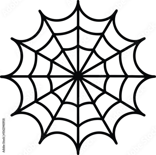 spider and web