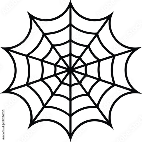 spider and web