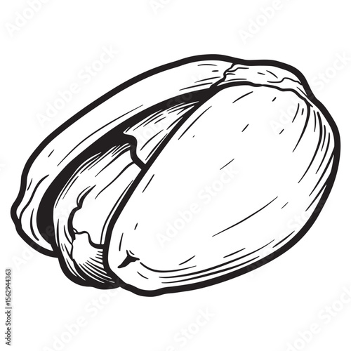 Black and white hand drawn pistachio nut shell vector illustration isolated on white background