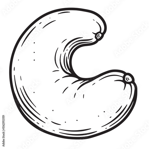 Isolated hand drawn illustration of a cashew nut in a simple black and white style
