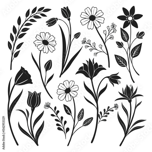Elegant floral silhouettes vector set for decorative design and creative projects