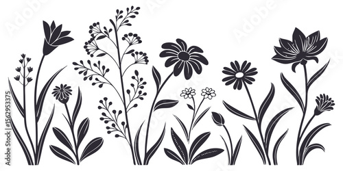 Elegant silhouette collection of various flowers and botanicals with transparency for design
