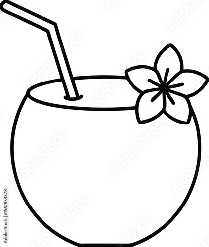 vector illustration of a coconut