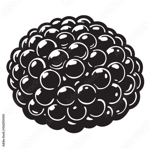 Simple black and white vector illustration of a fresh ripe blackberry on white background