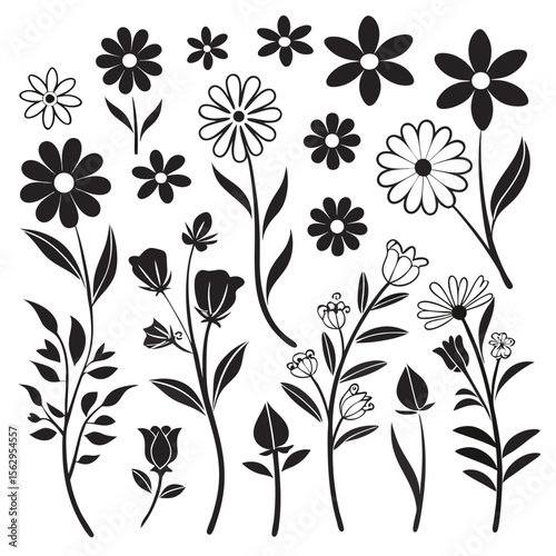 Vector illustration of various black and white floral elements and decorative botanical designs