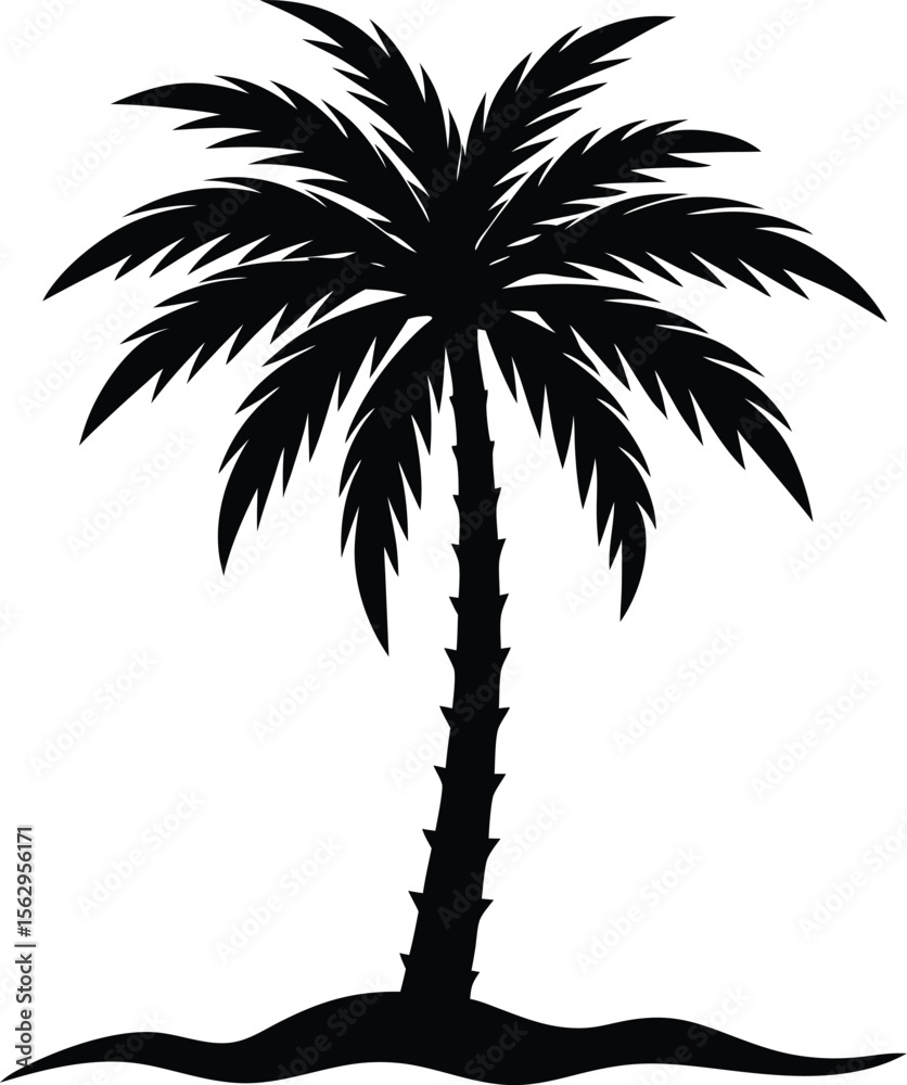 Obraz premium palm tree silhouette