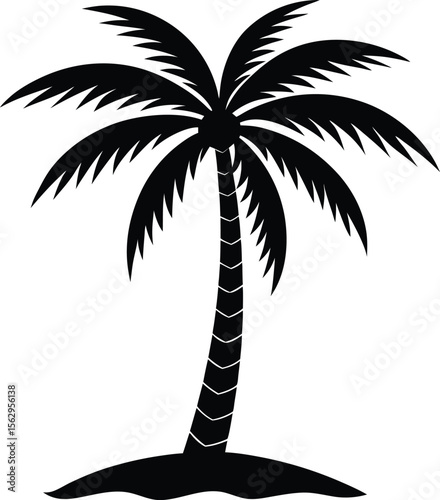 silhouette of palm tree