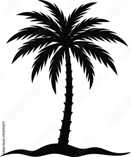 palm tree silhouette