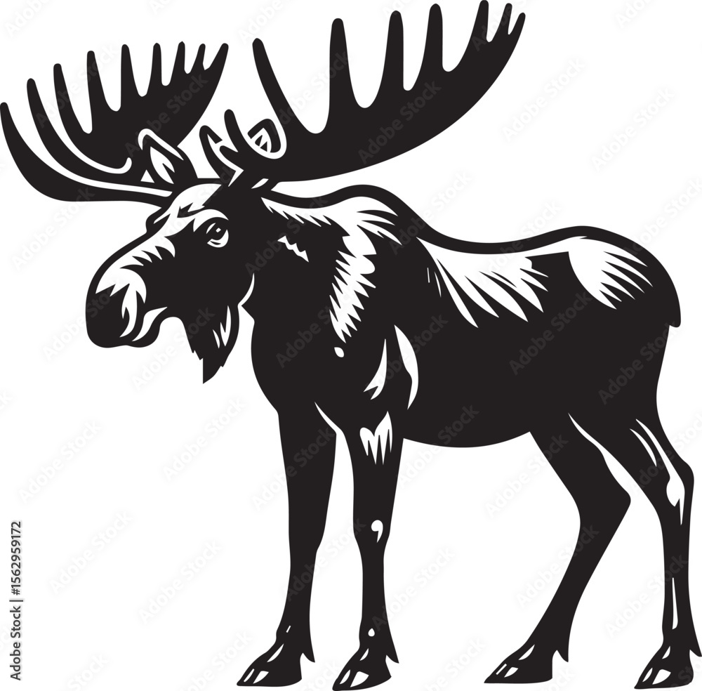 Fototapeta premium Moose Vector In Black and White