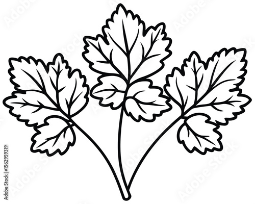Simple black and white illustration of three parsley leaves representing nature and freshness.