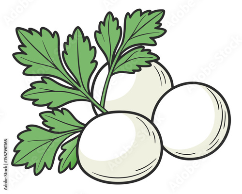 Freshly harvested white radishes with vibrant green leaves simple illustration for health.
