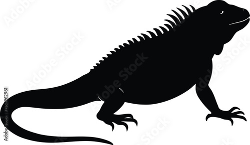 iguana  black silhouette vector,iguana  icon