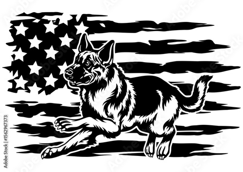 German Shepherd