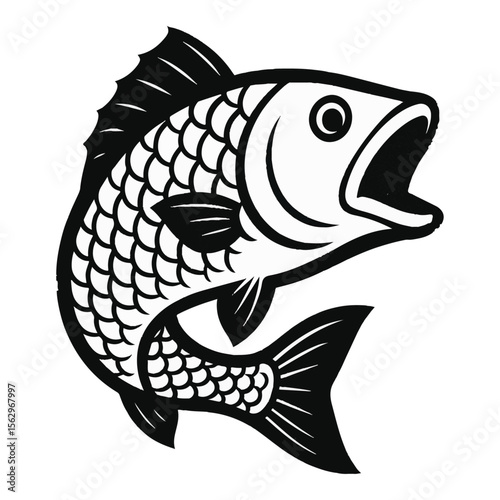 fish vector