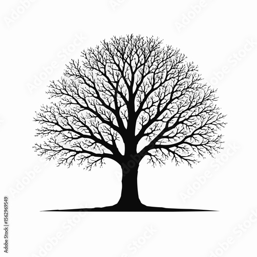 tree silhouette vector