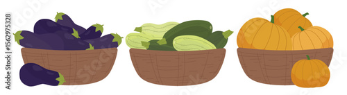 Illustrated collection of three baskets filled with fresh vegetables eggplants, zucchinis, and pumpkins. Perfect for highlighting healthy eating and agriculture themes.