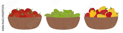 Colorful vector illustration of fresh vegetables in baskets, featuring tomatoes, cucumbers, and bell peppers. This vibrant design highlights healthy produce and farm-fresh themes.