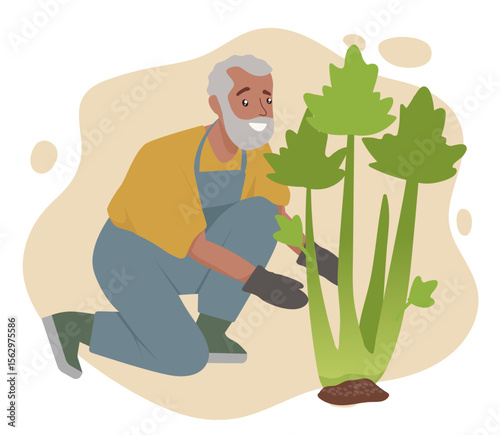 Senior man tending to a large plant in a garden illustration. Wearing gloves and overalls, he smiles as he carefully nurtures the plant. Ideal for gardening and retirement themes.