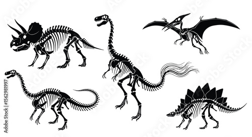 A Journey Through Time Exploring the Skeletons of Prehistoric Creatures and Dinosaur Fossils