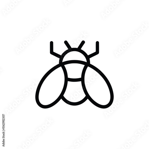 Fly outlined with black line, vectorbased, on a white backdrop. Transparent background