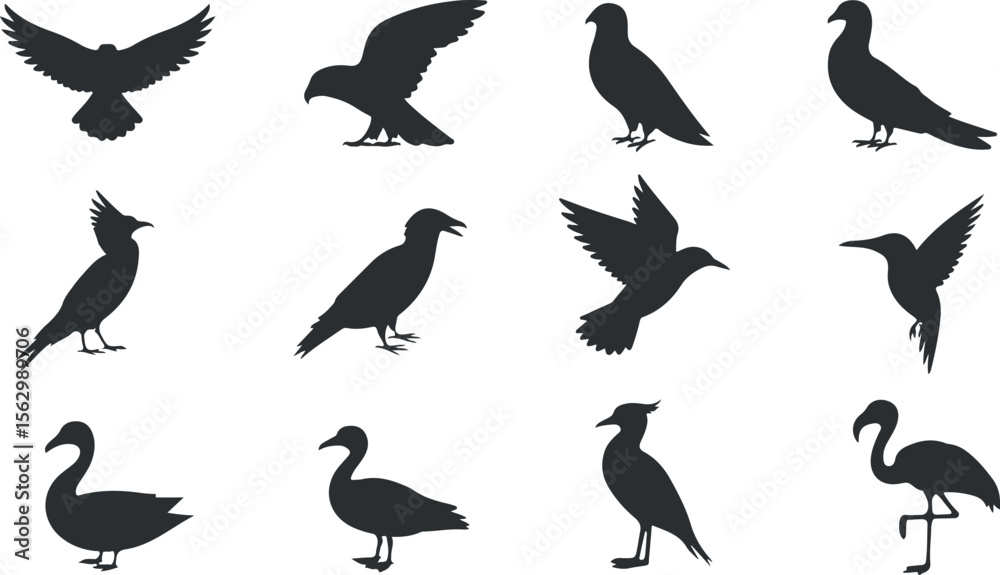 Obraz premium A diverse collection of bird silhouettes isolated on white background, set of silhouettes of birds