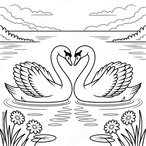 two swan on the water 