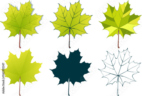 Hand-drawn green maple leaves collection isolated on white background. Flat and line and textured vector illustration.
