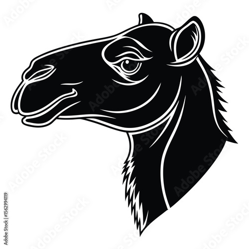 Nomadic Icon The Camel Head in Shadow
