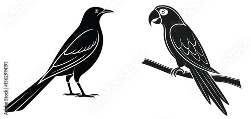 bird on a branch