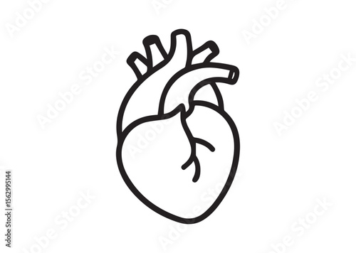 Human anatomical heart thin line art vector, Human anatomical heart thin icon