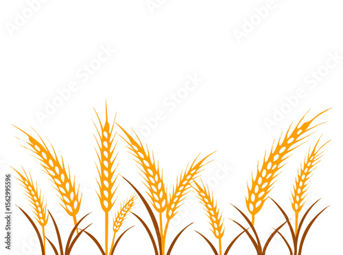 Agriculture wheat vector Illustration design template - Vector