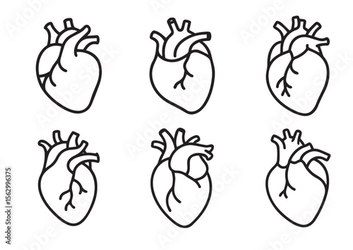 Human anatomical heart thin line art vector, Human anatomical heart thin icon Set