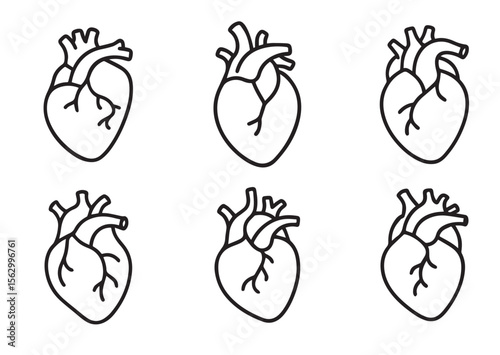 Human anatomical heart thin line art vector, Human anatomical heart thin icon Set