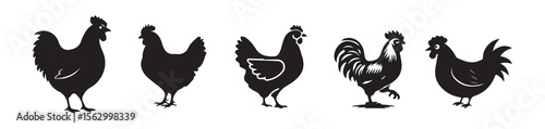 Black Vector Rooster and Hen Illustrations for Rural Themes