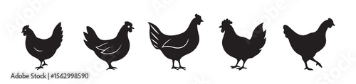 Farm Poultry Bird Silhouettes in Vintage Style