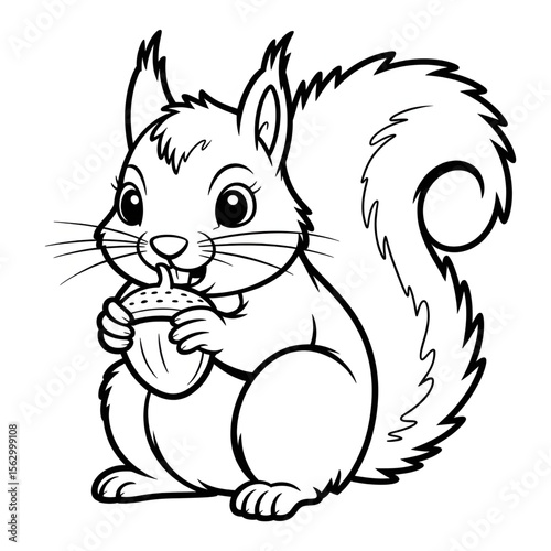 squirrel eating a nut 