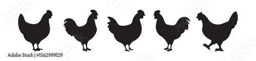 Rustic Rooster and Chicken Icons – Vector Design Elements