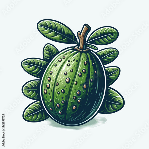 Vibrant graphic illustration of a green fruit, complete with detailed leaves and a stem.  The fruit features textured skin with small water droplets.