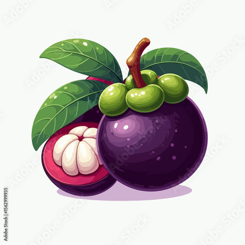 Digitally rendered mangosteen fruit, whole and halved, with vibrant colors and detailed features, is presented against a plain white backdrop.