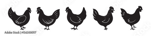 Set of Black Farm Birds – Chicken and Rooster Vector Pack