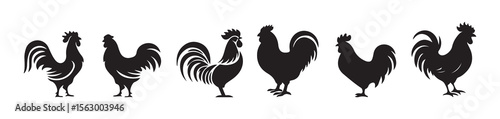 Barnyard Bird Silhouettes – Vector Rooster and Hen Set