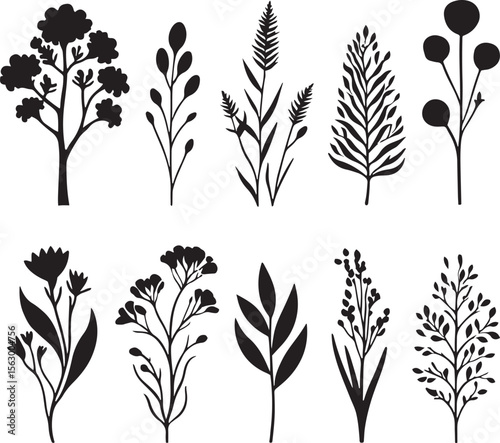 Black botanical silhouettes on white background plants