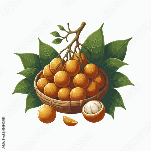 Digital illustration of a cluster of longan fruits nestled in a woven basket, with leaves and a branch.  The fruits are vibrant orange and yellow hues.