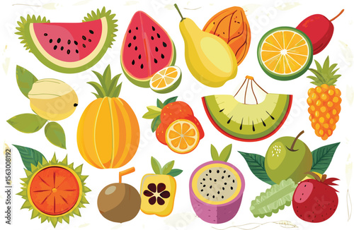 Colorful Tropical Fruit Vector Illustration: Watermelon, Pineapple, Dragon Fruit, and More Exotic Fruits Graphic Design